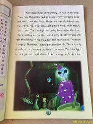 THE İSLAND / ÇİÇEK KRAL / SUSAN FOX / AFS EUROPE / İNGİLİZCE ÇOCUK HİKAYE KİTABI (ADA)