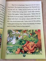 TOMBY LİKES BEİNG ORANGE / SERKAN KOÇ / GİNA ANGELİNA / AFS EUROPE / İNGİLİZCE ÇOCUK HİKAYE KİTABI (TOMBY TURUNCU OLDUĞUNU SEVİYOR)