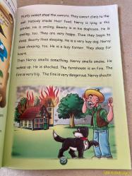 NERVY THE FARMER / SERKAN KOÇ / KAREN JAMES / AFS EUROPE / İNGİLİZCE ÇOCUK HİKAYE KİTABI (ÇİFTÇİYİ SİNİRLENDİRİN)