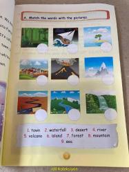 THE SCHOOL TRİP / ÇİÇEK KRAL / PAUL CHRİS / AFS EUROPE / İNGİLİZCE ÇOCUK HİKAYE KİTABI (OKUL GEZİSİ)