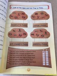 THE SCHOOL TRİP / ÇİÇEK KRAL / PAUL CHRİS / AFS EUROPE / İNGİLİZCE ÇOCUK HİKAYE KİTABI (OKUL GEZİSİ)