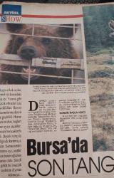 HÜRRİYET GAZETESİ-SHOW-PAZAR DERGİSİ-12 HAZİRAN 1994- SAYI:65-TÜRKAN ŞORAY-ANNA KARENİNA-HARUN KOLÇAK-ÖZCAN DENİZ-EDA ÖZÜLKÜ-MELTEM DOĞANAY-RÖPORTAJ-KANTODAN TANGO-SİBEL CAN-HİLMİ YAVUZ-BİR AŞK UĞRUNA