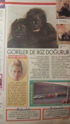 HÜRRİYET GAZETESİ-SHOW-PAZAR DERGİSİ-30 EKİM 1994-SAYI:85-GÖZDE TAN-ROSEANNE ARNOLD-LİZ TAYLOR-JEAN -CHARLES FABRE-MURAT BARDAKÇI-ELİDA GİBBS-ŞİFNE TERMAL-SERDAR ORTAÇ RÖPORTAJ-ÇOŞKUN SABAH-BURHAN ÇAÇAN-FATİH ÜREK-ÖMÜR GENÇEL-FULDEN URAS-NESLİHAN-KIZARMIŞ MEYVELER-UĞUR GÜNERİ-MUSTAFA SANDAL-FENG SHUİ