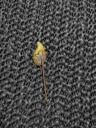 VINTAGE KIZILHAÇ KAN BAĞAŞI  İĞNELİ YAKA ROZETİ.