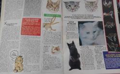 HÜRRİYET GAZETESİ-HÜRRİYET MAGAZİNDERGİSİ-8 EYLÜL-14 EYLÜL-1991-SAYI:23-KAPAK-FOTOĞRAF-RÖPORTAJ-CHECK-UP REHBERİ-KEDİLERİN DÜNYASI-ÇALIŞANIN 7 GÜNAHI-GÜLRİZ SURURİ-KAĞIT FALI-FRANSIZ USULÜ AŞK-WOODO-SAHNEDE BİR KELAYNAK-PİSİPİSİLER-KANATLI İŞTAH-GEZİ-MARMARİS-SÜPER ADAM-YILDIZKOP-TUĞRUL ŞAVKAY-TEST-İSKAMBİL FALI-SANAT GÜNCESİ-FRANK SİNATRA-ZOMBİ-CRESSON-RAMADA OTELLERİ-ŞEHNAZ ÇEHRELİ-TAYLAN MOROVA-HEVES EKİNCİ-LİLİ GARİH-ASLIGÜL ATASAGUN-AYŞE DEMİRKAN-SWİSS OTEL--ATİLLA MİDİLLİ-YEŞİM KARAKAZAN-JEFF HAKKO-ZİYA MAKARACI-BAR KELEBEĞİ-SANAT-EL İŞİ-ZAYIFLARKEN EĞLENME-