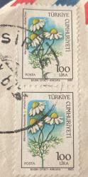 Mektup Zarfından Kesilmiş  / Postadan Geçmiş İkili Pul Filateli - Damgalı - PAPATYA PULU, 100 LİRA -  Türkiye Cumhuriyeti