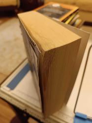 EBÜLFEZ ELÇİBEY İLE BAĞIMSIZLIĞA GİDEN YOL (EBÜLFEZ ELÇİBEY'İN VASİYETİ ÜZERİNE YAZILMIŞTIR.