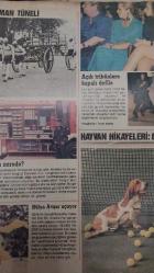 GÜNEŞ PAZAR DERGİSİ-5 AĞUSTOS-1990-SAYI:8-KAPAK-FOTOĞRAF-RÖPORTAJ-TREKKİNG-ALADAĞLAR-DENİZCİ-SEYİR DEFTERİ-BRIGITTA BOCCOLI-IVIR ZIVIR-JULIO IGLESİAS-ZAMAN TÜNELİ-HÜLYA AVŞAR-YILDIZ SARAYI-SİLAHHANE SALONU-DİLARA BATMAZOĞLU-SİNEMA-VİDEO-ÇIĞLIK-DEE WALLACE-PATRİCK MACNEE-KASET-PINAR KÜR-KELİME-CÜMLE-HALUK ŞAHİN-AŞKIN NUR YENGİ-GÜL ÖNET-ACAR BALTAŞ-ALİ RIZA TÜRKER-CEMİL İPEKÇİ-DENİZ ENPEK-GÖKBEN-AYSEL GÜREL-BERLİN-CENGİZ ÇANDAR-VİYANA -TAŞKENT-NİNA RİCCİ-ÇİNGENE-PAKET-ZİHİN-MIKNATIS-EDDİE BARCLAY-ÖMER KAVUR-TUNÇ BAŞARAN-ŞERİF GÖREN-KOLEKSİYON-MÜZAYEDE-TURGAY ARTAM-AIDS-SİBEL KİLİMCİ-HİPERMARKET-MEMDUH PAŞA YALISI-SARDUNYA-ASTROLOJİ