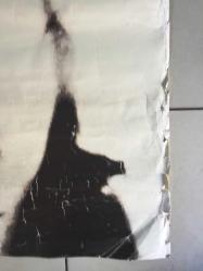 TÜRKAN ŞORAY AFİŞİ / POSTERİ - DEV BOY - ORİJİNAL - 175 X 117 cm EBADINDA - Original Turkish Big Size Poster - TÜRKAN ŞORAY YENİKENT SÖYLEŞİ VE İMZA GÜNÜ (SİNEMAM VE BEN)