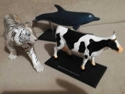 ÜCRETSİZ KARGO Beyaz kaplan yunus balığı inek anatomi iskelet kas sistemi sök tak Puzzle yapboz model dekoratif hayvan figürleri 3 lü set halinde kullanılmamış ürünler koleksiyon tasarım süs hobi aksesuar eğitici öğretici