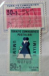1960 UMUMİ NÜFUS SAYIMI