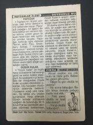 17 MART 2003-TAKVİM YAPRAĞI-DOĞUM GÜNÜ HEDİYESİ-TÜRKİYE GAZETESİ TAKVİMİ,DÜNYA DENİZCİLİK GÜNÜ,ERDELİN FETHİ,1142,ÇANAKKALE ZAFER HAFTASI,KIRLANGIÇLARIN GELME ZAMANI,DUYDUNUZ MU
