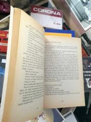 pisuvar tedirginliği - gül abus