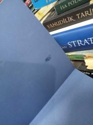 Sanma ki Yalnızsın