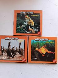 VAHŞİ HAYAT MADAGASKAR FLORIDA DENİZ EJDERİ 3 VCD TAKIM HALİNDE 2.EL UYGUN FİYATA VCD FİLM ( İSİMSİZ DEMİR RAF )