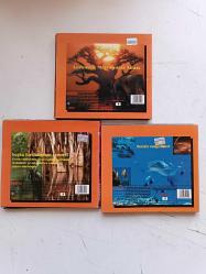 VAHŞİ HAYAT MADAGASKAR FLORIDA DENİZ EJDERİ 3 VCD TAKIM HALİNDE 2.EL UYGUN FİYATA VCD FİLM ( İSİMSİZ DEMİR RAF )