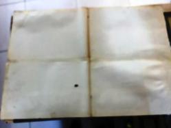 Polis Akademisi, (SCUOLA DI POLIZIA - Police Academ) 1984, İTALYANCA FİLM AFİŞİ / POSTERİ - BÜYÜK BOY - ORİJİNAL - 66 X 46 cm EBADINDA - Original Turkish Big Size Movie Poster - Hugh Wilson, Neal Israel, Pat Proft, Hugh Wilson, Steve Guttenberg, Kim Cattrall, G.W. Bailey, Bubba Smith, Donovan Scott, George Gaynes, Andrew Rubin, David Graf, Leslie Easterbrook, Michael Winslow, Debralee Scott, Bruce Mahler, Ted Ross, Scott Thomson, Brant von Hoffman, Marion Ramsey, Georgina Spelvin, Doug Lennox, George R. Robertson, Don Lake, Bill Lynn, Michael J. Reynolds, Joyce Gordon