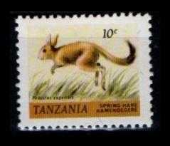 +++ TANZANIA HAYVAN   - DAMGASIZ