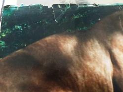 TARZAN (ARZAN IL RE DELLA GIUNGLA - Tarzán en la gruta del oro) 1969, İTALYANCA FİLM AFİŞİ / POSTERİ - BÜYÜK BOY - ORİJİNAL - 66 X 46 cm EBADINDA - Original Turkish Big Size Movie Poster - Manuel Caño, Umberto Lenzi, Santiago Moncada, Joaquín Luis Romero Marchent, Steve Hawkes, Kitty Swan, 	Krista Nell, Ugo Sasso, Jesús Puente, Luis Marín, Fernando Sancho, Raf Baldassarre, Antonio Casas, TITANUS