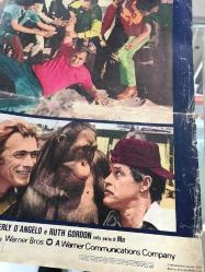 Dalgacının Kralı (Filo Da Torcere - Every Which Way But Loose) 1978, İTALYANCA FİLM AFİŞİ / POSTERİ - BÜYÜK BOY - ORİJİNAL - 67 X 47 cm EBADINDA - Original Turkish Big Size Movie Poster - James Fargo, Jeremy Joe Kronsberg, Clint Eastwood, Sondra Locke, Geoffrey Lewis, Beverly D'Angelo, Walter Barnes, George Chandler, Roy Jenson, James McEachin, William O'Connell, John Quade, Dan Vadis, Gregory Walcott, Hank Worden, Ruth Gordon, Jerry Brutsche, Cary Michael Cheifer, Janet Cole Notey