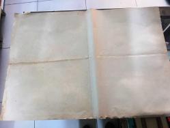 Dalgacının Kralı (Filo Da Torcere - Every Which Way But Loose) 1978, İTALYANCA FİLM AFİŞİ / POSTERİ - BÜYÜK BOY - ORİJİNAL - 67 X 47 cm EBADINDA - Original Turkish Big Size Movie Poster - James Fargo, Jeremy Joe Kronsberg, Clint Eastwood, Sondra Locke, Geoffrey Lewis, Beverly D'Angelo, Walter Barnes, George Chandler, Roy Jenson, James McEachin, William O'Connell, John Quade, Dan Vadis, Gregory Walcott, Hank Worden, Ruth Gordon, Jerry Brutsche, Cary Michael Cheifer, Janet Cole Notey