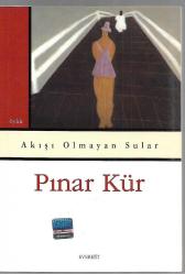 Akışı Olmayan Sular
