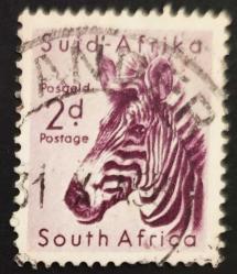 +++ SUID AFRIKA ZEBRA    - DAMGALI