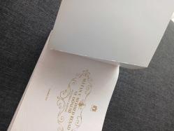 Sultan V. Mehmed Reşad Dönemi Fotoğraf Albümü