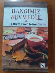 hangimiz sevmedik çılgınlar gibi ethem emin nemutlu