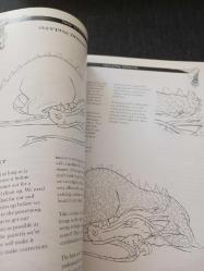 How To Draw Dragons and Other Mythical Creatures?