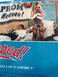 Zapped!, İtalyanca ORİJİNAL SİNEMA, Film AFİŞİ, (Zapped!) 1982, FİLM AFİŞİ / POSTERİ - BÜYÜK BOY - ORİJİNAL - 66 X 44 cm EBADINDA - Original Turkish Big Size Movie Poster - Robert J. Rosenthal, Bruce Rubin, Robert J. Rosenthal, Scott Baio, Willie Aames, Robert Mandan, Felice Schachter, Scatman Crothers, Roger Bowen, Mews Small, Greg Bradford, Hilary Beane, Sue Ane Langdon, Heather Thomas, Hardy Keith, Curt Ayers, Merritt Butrick, Jennifer Chaplin, Irwin Keyes, Hank Robinson, Dick Balduzzi, Bennett James, Ron Deutsch, Eddie Deezen