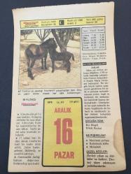 16 ARALIK 1979 -TAKVİM YAPRAĞI-DOĞUM GÜNÜ HEDİYESİ-HÜRRİYET TAKVİMİ,ÇOCUĞA İSİM,GÖRGÜ KURALLARI DOKTORDA,ERCÜMENT EKREM TALUNUN ÖLÜMÜ 1956,GAZİ ETHEP PAŞANIN ÖLÜMÜ 1909