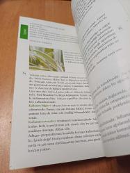 Doğanın Şifalı Eli