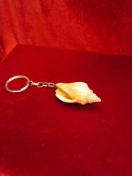 ANAHTARLIK DOĞAL DENİZ KABUĞU CUNDA ADASINA AİT  ANAHTARLIK 824