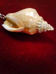 ANAHTARLIK DOĞAL DENİZ KABUĞU CUNDA ADASINA AİT  ANAHTARLIK 824