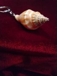 ANAHTARLIK DOĞAL DENİZ KABUĞU CUNDA ADASINA AİT  ANAHTARLIK 824