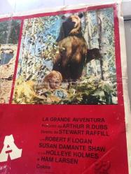 Vahşi aile, İtalyanca ORİJİNAL SİNEMA, Film AFİŞİ, (LA GRANDE AVVENTURA - The Adventures of the Wilderness Family) 1975, FİLM AFİŞİ / POSTERİ - BÜYÜK BOY - ORİJİNAL - 66 X 47 cm EBADINDA - Original Turkish Big Size Movie Poster - Stewart Raffill, Arthur R. Dubs, Robert Logan, Susan Damante, Hollye Holmes, Ham Larsen, George 'Buck' Flower, 	William Cornford, John F. Goff,  Herbert F. Nelson, KILIÇ FİLM