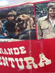 Vahşi aile, İtalyanca ORİJİNAL SİNEMA, Film AFİŞİ, (LA GRANDE AVVENTURA - The Adventures of the Wilderness Family) 1975, FİLM AFİŞİ / POSTERİ - BÜYÜK BOY - ORİJİNAL - 66 X 47 cm EBADINDA - Original Turkish Big Size Movie Poster - Stewart Raffill, Arthur R. Dubs, Robert Logan, Susan Damante, Hollye Holmes, Ham Larsen, George 'Buck' Flower, 	William Cornford, John F. Goff,  Herbert F. Nelson, KILIÇ FİLM