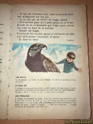LES COULEURS DE LA VİE - LİVRE DE LECTURE - COURS ELEMENTAİRE 1RE ANNEE CLASSE DE 10E DES LYCEES ET COLLEGES - LİBRAİRİE HATİER - MARCEL DARDOİSE / JEAN DARDOİSE - FRANSIZCA KİTAP (HAYATIN RENKLERİ - OKUMA KİTABI) / (YIPRANMA VE LEKELERİ MEVCUT)