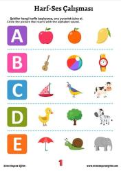 Kendi Kendine HERKESE İngilizce Eğitim Seti (PDF Formatındadır)