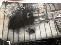 KANLI HÜCUM, ORİJİNAL MARLON BRANDO SİNEMA, Film AFİŞİ, (The Wild One) 1953, FİLM AFİŞİ / POSTERİ - BÜYÜK BOY - ORİJİNAL - 68 X 48 cm EBADINDA - Original Turkish Big Size Movie Poster - Laslo Benedek, John Paxton, Frank Rooney, Ben Maddow,