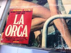 İhtirasın Bedeli, ORİJİNAL İTALYANCA SİNEMA, Film AFİŞİ, (La Orca) 1976, FİLM AFİŞİ / POSTERİ - BÜYÜK BOY - ORİJİNAL - 67 X 48 cm EBADINDA - Original Turkish Big Size Movie Poster - Eriprando Visconti,  Roberto Gandus, Lisa Morpurgo, Eriprando Visconti, Michele Placido, Rena Niehaus, Flavio Bucci, Bruno Corazzari, Adriano Amidei Migliano, Livia Cerini, Vittorio Mezzogiorno, Piero Palermini, Jacopo Tecchi