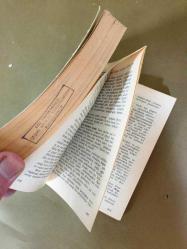 VARLIK YILLIĞI 1979