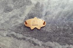 JANDARMA KOMANDO ASKERİ BRÖVE - ROZET - MADALYA C253