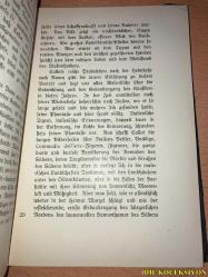 JACQUES GALLOT - OSCAR LEVERTİN - ALMANCA KİTAP (HAFİF YIPRANMALARI MEVCUT)