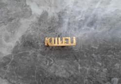 KULELİ ASKERİ LİSESİ ROZETİ - MADALYA ( NADİR MODEL ) C300