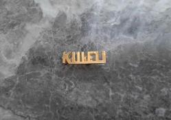 KULELİ ASKERİ LİSESİ ROZETİ - MADALYA ( NADİR MODEL ) C300