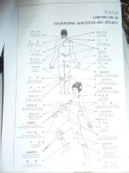 ÜNİVERSAL 808 ELEKTRONİK AKUPUNKTUR CİHAZI SAĞLAM KUTUSUNDA+KULLANMA KLAVUZU FOTOKOPİSİ+2 ADET PİL