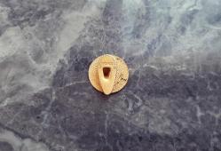 İRAN MUHAMMED RIZÂ ŞAH PEHLEVÎ - PHYSİCAL EDUCATİON ORGANİZATİON OF İRAN ROZETİ - MADALYA NADİR ÇIKAR C354