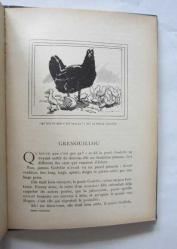 Contes Regionaux / 56 Gravures